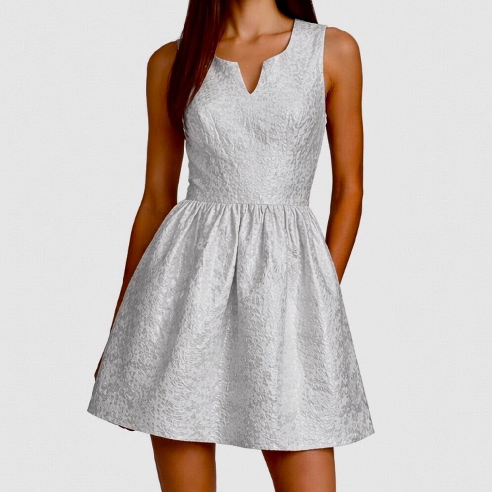 Kensie Silver Metallic Jacquard Fit & Flare Mini Dress Sleeveless Size Small